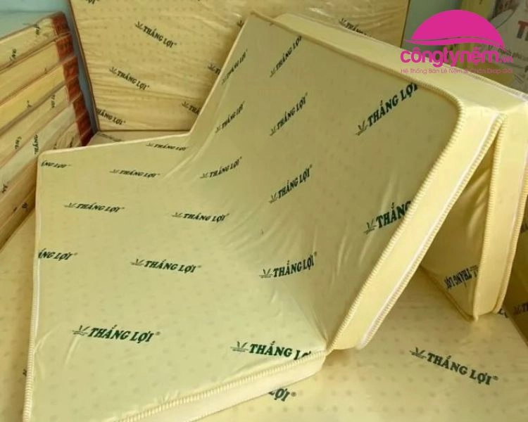 Tổng hợp review nệm Thắng Lợi từ diễn đàn