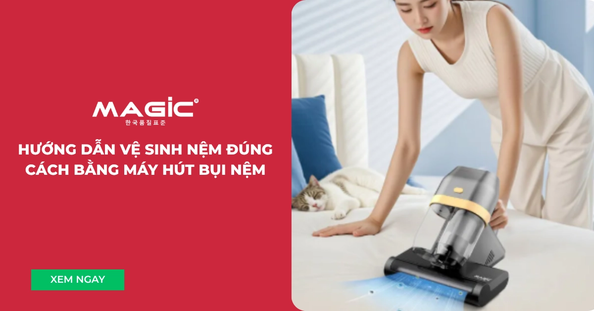 vệ sinh nệm bông ép bằng máy hút bụi