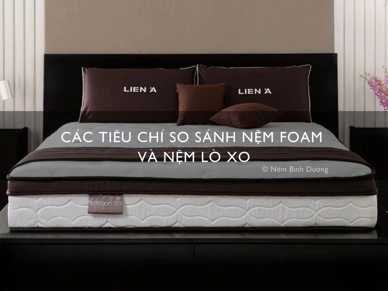bảng tiêu chí chọn nệm lò xo túi Everon thực tế