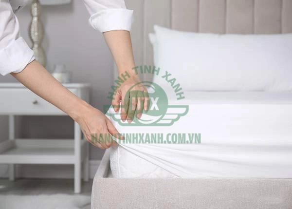 vỏ nệm tencel tháo giặt và tem chứng nhận