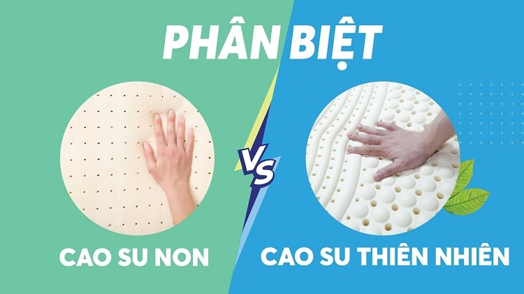 so sánh độ đàn hồi latex thiên nhiên và cao su non