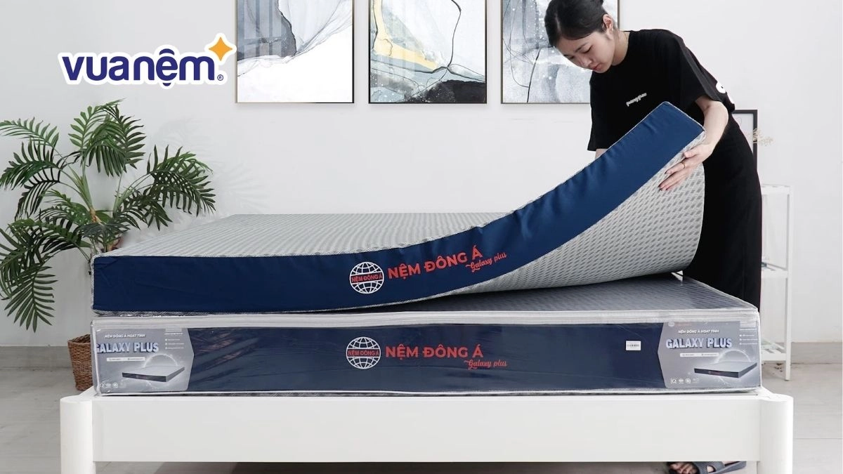 cắt lớp nệm Đông Á Gold lộ bọt foam đẹp mắt