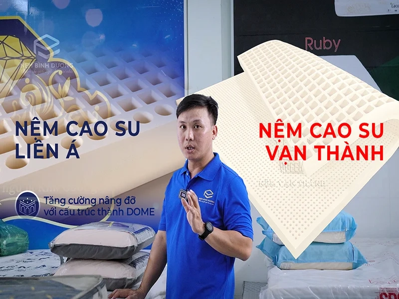 biểu đồ so sánh nệm cao su hoạt tính và lò xo