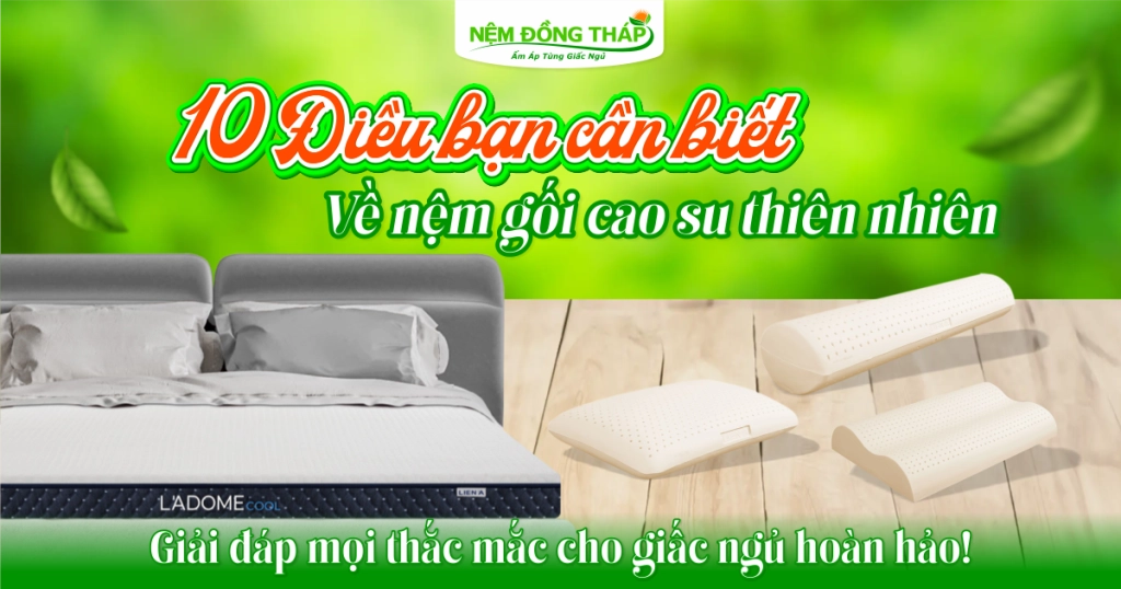 giải đáp thắc mắc về nệm cao su hoạt tính