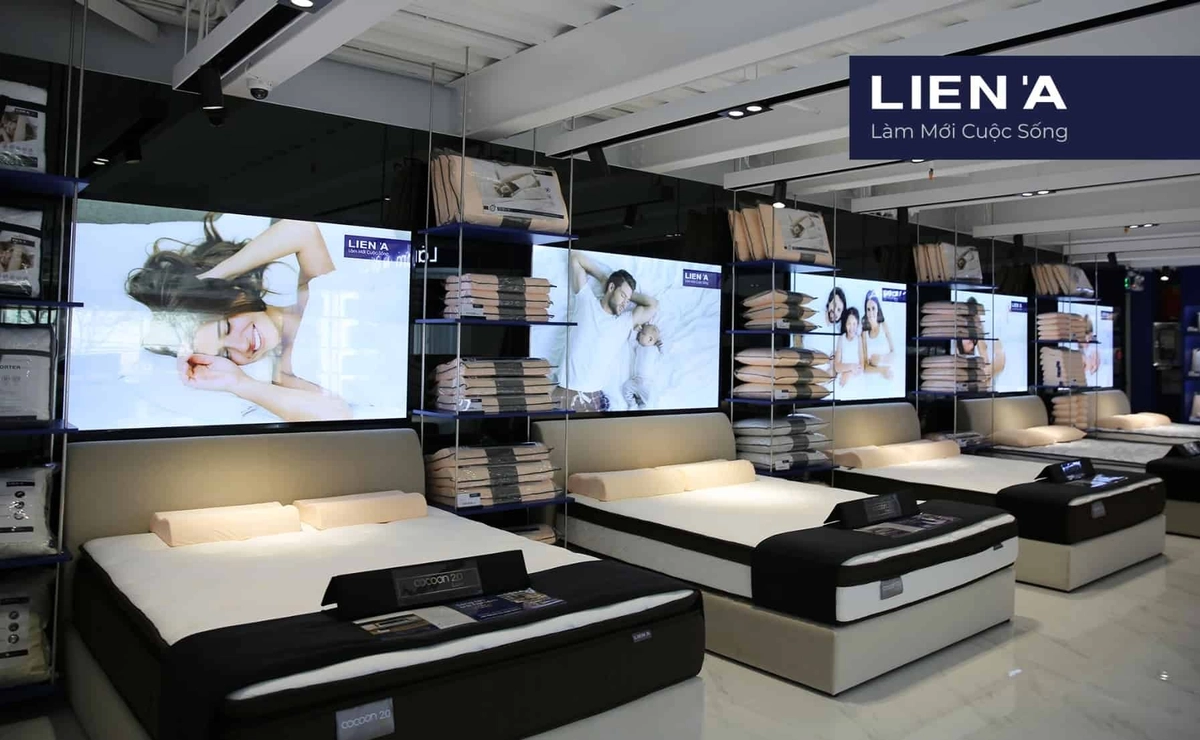 nệm Vinalatex cạnh Liên Á Dunlopillo Everon