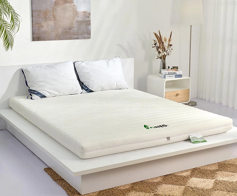 tư vấn chọn nệm cho người đau lưng Liên Á