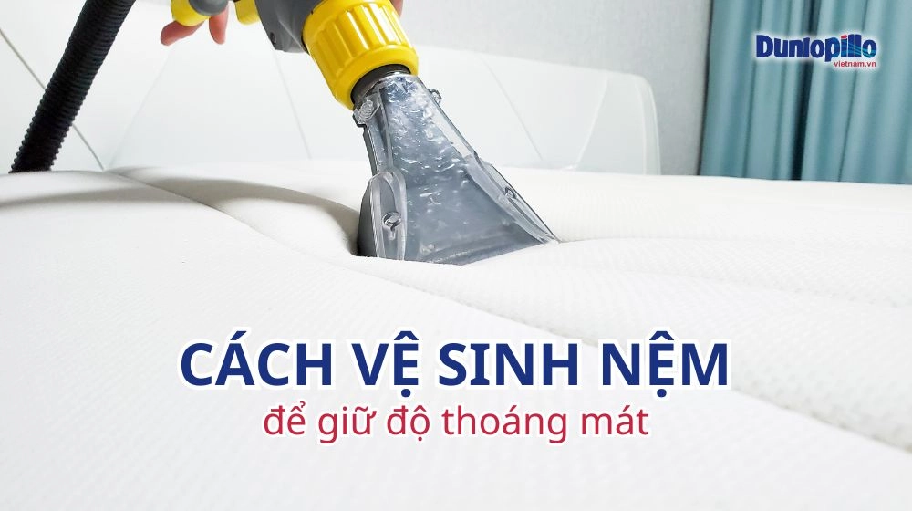 vệ sinh và bảo quản nệm Dunlopillo Firmrest Supreme đúng cách