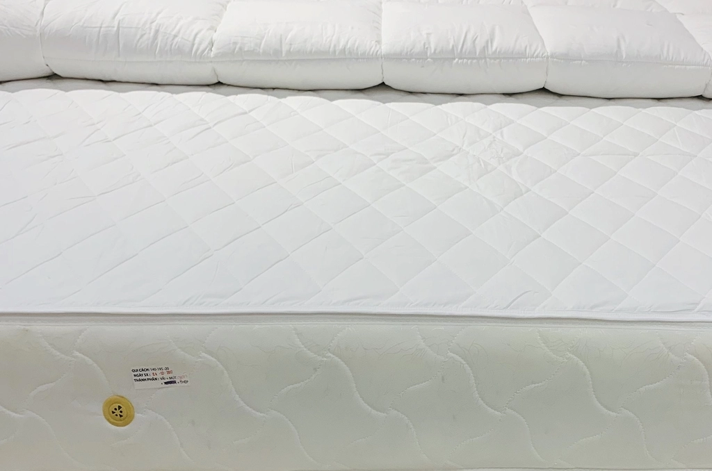 vệ sinh bảo quản đệm Dreamland với tấm bảo vệ