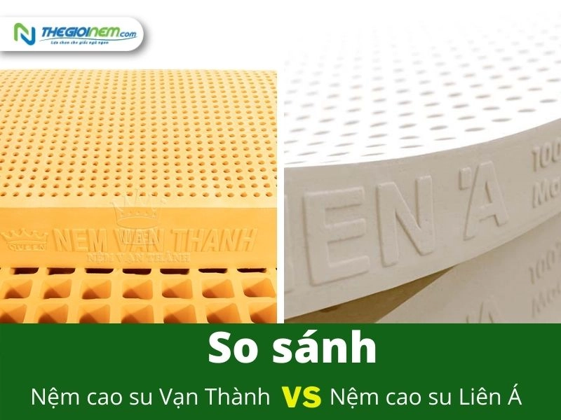 So sánh giá nệm Vạn Thành theo từng dòng
