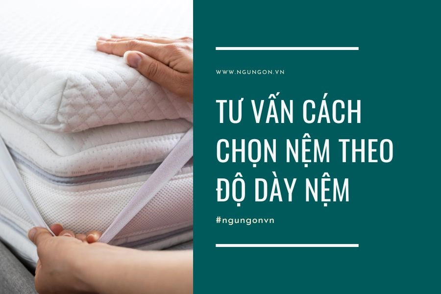 tư vấn chọn nệm gấp cùng nhân viên bán hàng