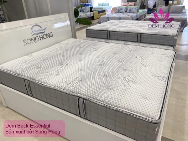Tem chống giả Sông Hồng trên vỏ đệm