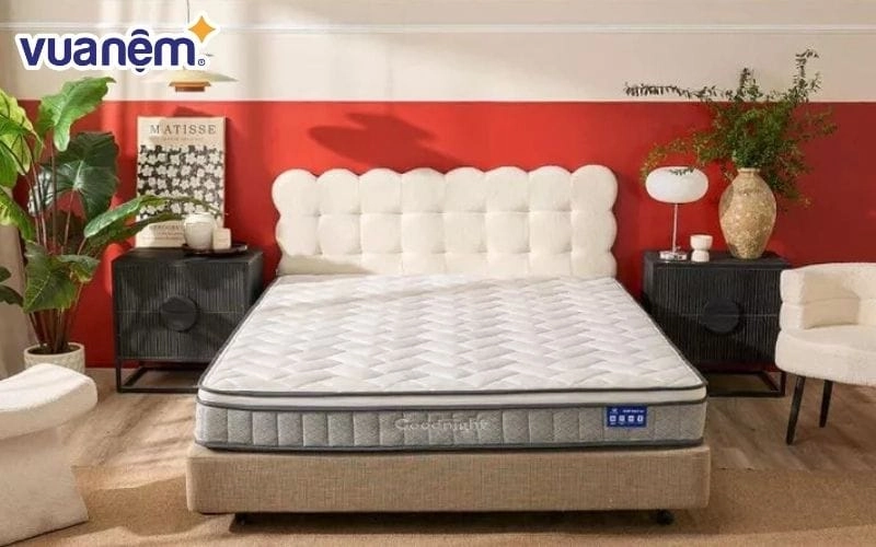 so sánh nệm Kim Cương Vạn Thành Thắng Lợi