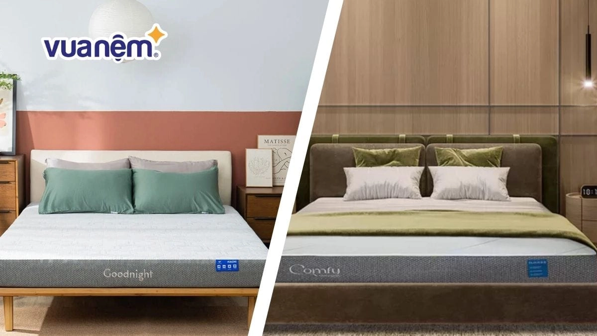 So sánh giá Goodnight Galaxy với nệm foam khác