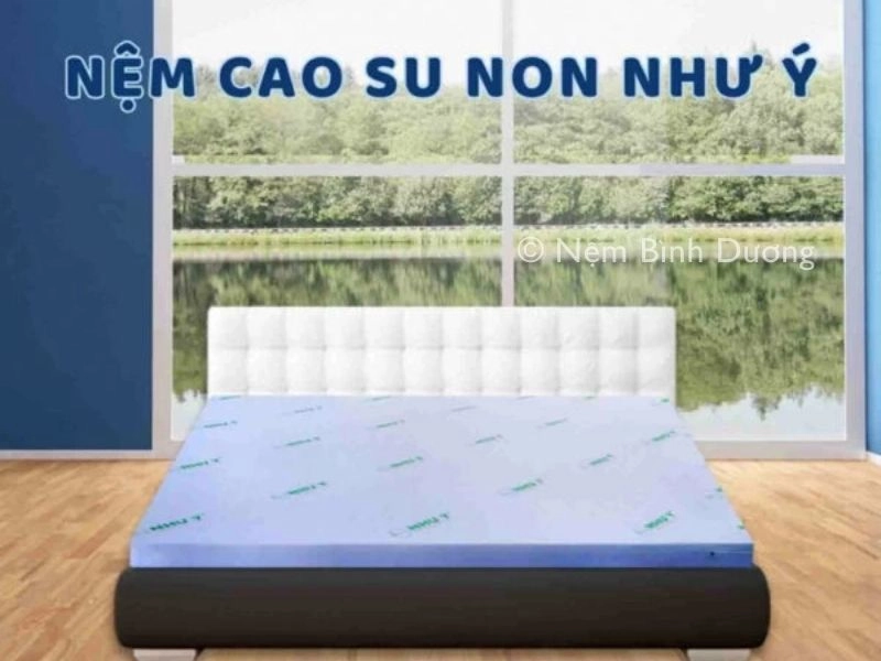 biểu đồ ưu nhược nệm cao su non và bông ép
