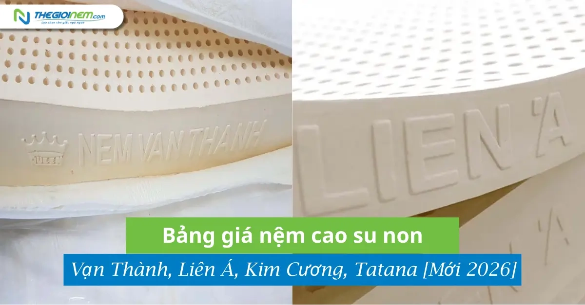 bảng giá nệm cao su non kèm chính sách bảo hành
