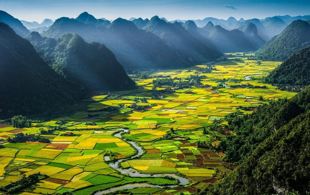 Bảng mẫu vật liệu thiên nhiên và nhân tạo Tuấn Anh