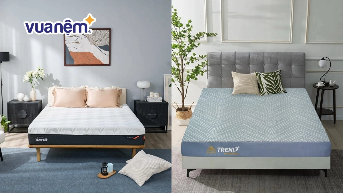 so sánh mua nệm online và showroom chính hãng