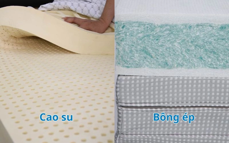 so sánh nệm cao su gấp 3 với bông ép