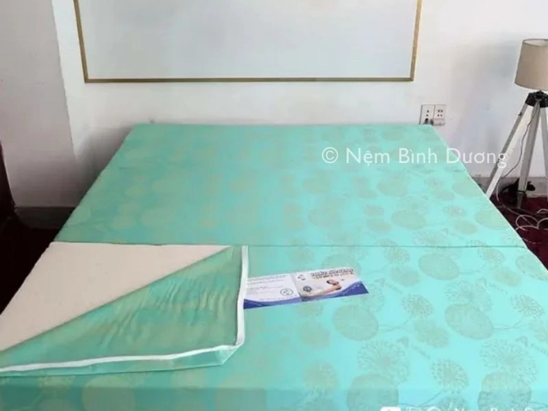 bảng so sánh nệm bông ép với lò xo latex