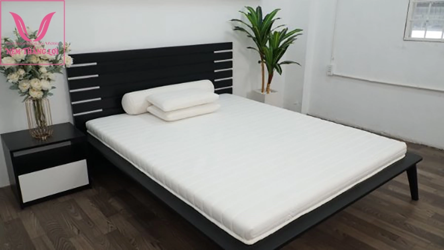 Ba miếng mẫu nệm Kim Cương tổng hợp thiên nhiên memory foam