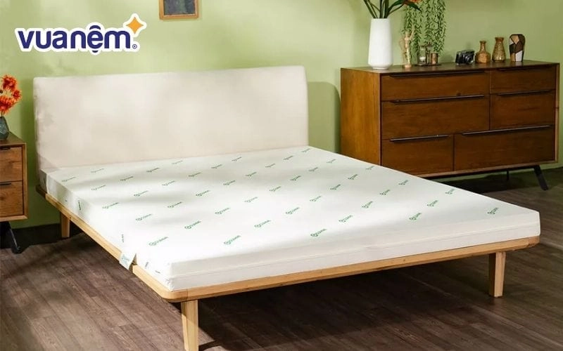 biểu đồ độ cứng nệm cao su theo trọng lượng