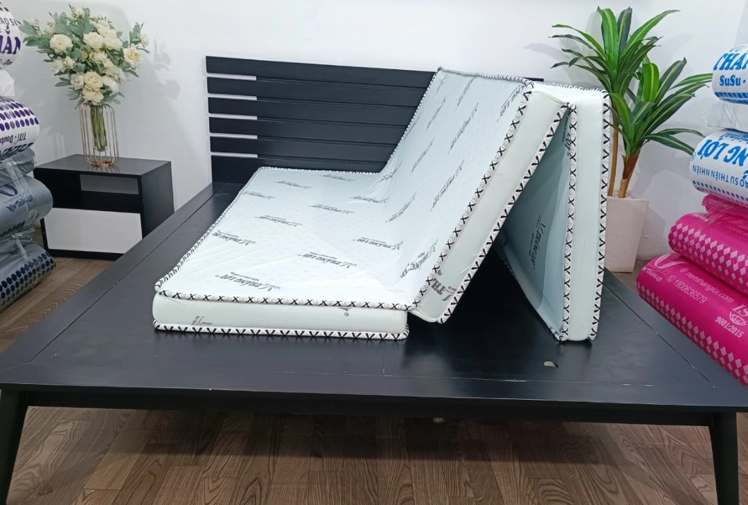 nệm cao su hoạt tính Thắng Lợi tại showroom sáng