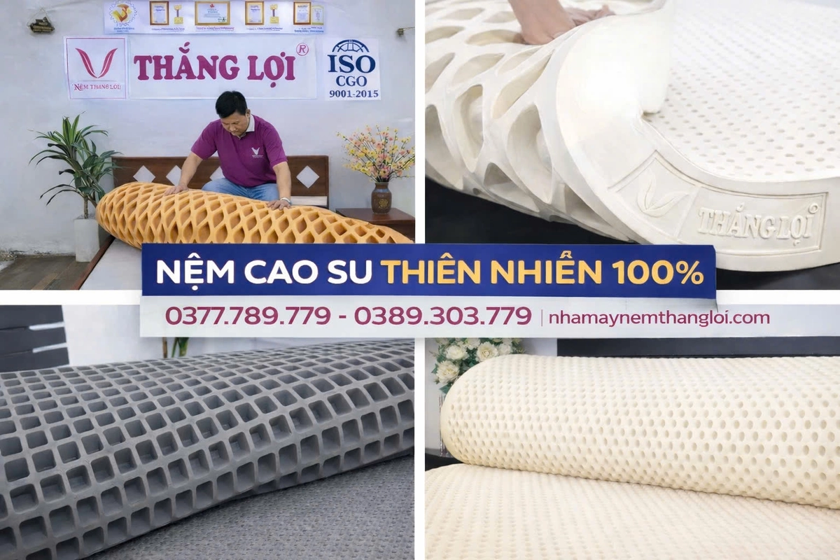 So sánh Thắng Lợi với nệm cao su thiên nhiên