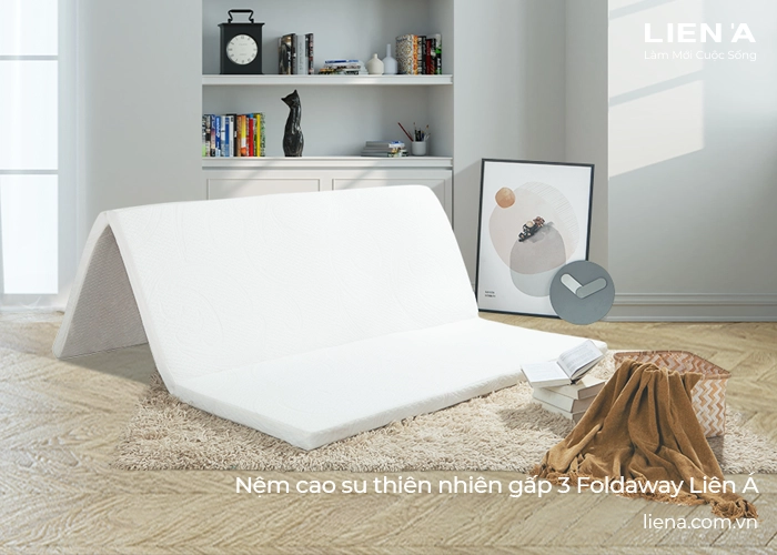 Câu hỏi đáp về nệm gấp 3 trong cửa hàng