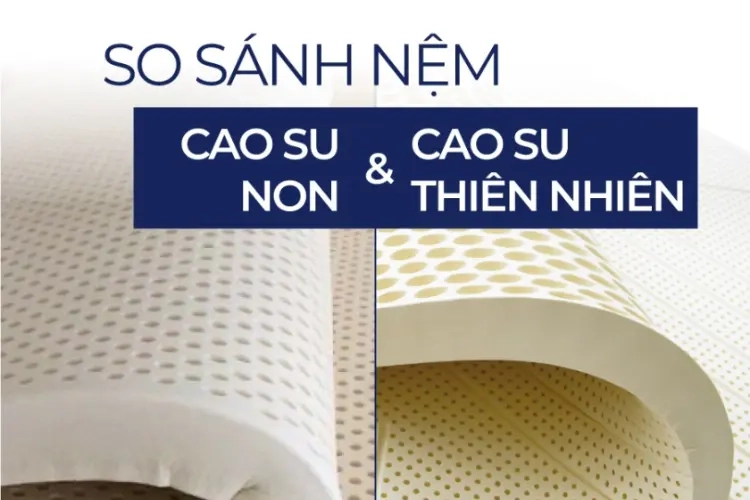 so sánh nệm cao su non Rạng Đông và Đồng Phú
