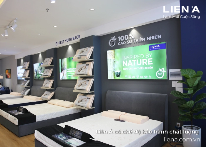 khách thử nệm gấp 3 tại cửa hàng uy tín